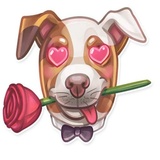 Dog it WhatsApp Sticker #2