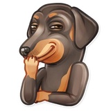 Dog it WhatsApp Sticker #24