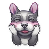 Dog it WhatsApp Sticker #26