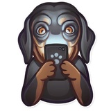 Dog it WhatsApp Sticker #27