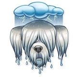 Dog it WhatsApp Sticker #30