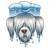 Sticker 30