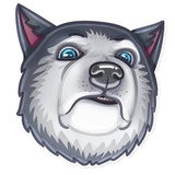 Dog it WhatsApp Sticker #4