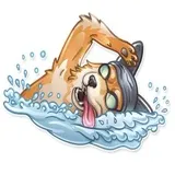 Sticker 40