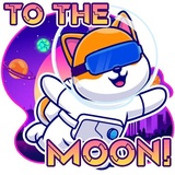 Doge Metaverse WhatsApp Sticker #4