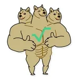 Doge Coin