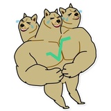 Doge Coin WhatsApp Sticker #3