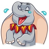 Dumbo WhatsApp Sticker pack