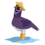 Trash dove WhatsApp Sticker #19