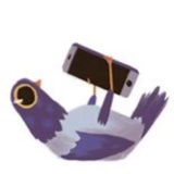 Trash dove WhatsApp Sticker #20
