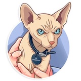 Dr. Evil WhatsApp Sticker #25