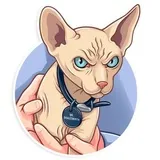 Sticker 25