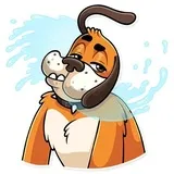 Sticker 37