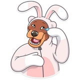 Easter Bear WhatsApp Sticker pack