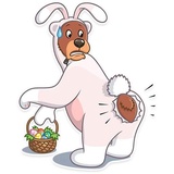 Easter Bear WhatsApp Sticker #13