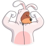 Easter Bear WhatsApp Sticker #20