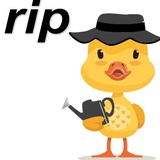 English First WhatsApp Sticker #18