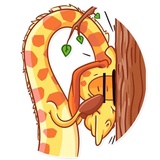 Fred WhatsApp Sticker #29