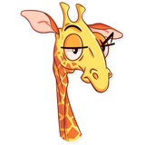 Fred WhatsApp Sticker #8