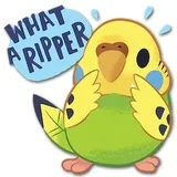 Sticker 3