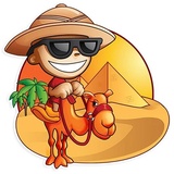 Flags of the world WhatsApp Sticker #11