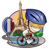 Flags of the world WhatsApp Sticker #13