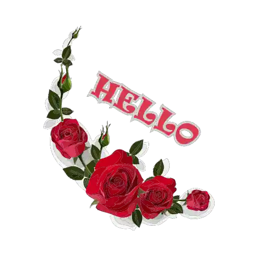 Sticker 10