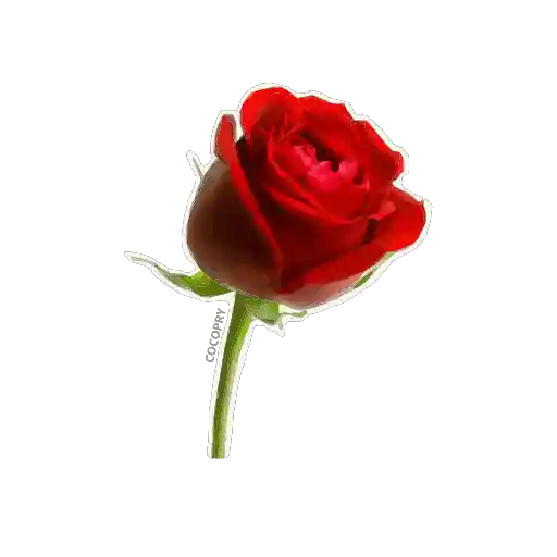 Sticker 8