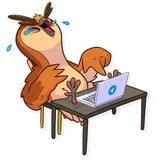 Freelance Owl