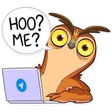 Freelance Owl WhatsApp Sticker #17