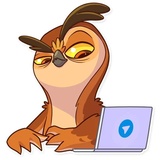 Freelance Owl WhatsApp Sticker #19