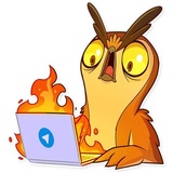 Freelance Owl WhatsApp Sticker #4