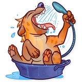 Hyena WhatsApp Sticker #30
