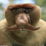 Funny Animals WhatsApp Sticker #10