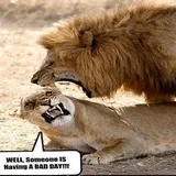 Sticker 105