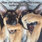 Funny Animals WhatsApp Sticker #15