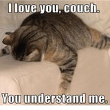 Funny Animals WhatsApp Sticker #19