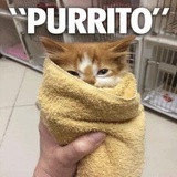 Funny Animals WhatsApp Sticker #20