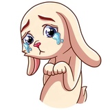 Gentle Rabbit WhatsApp Sticker #17