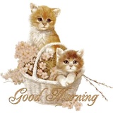 Good Morning WhatsApp Sticker #21