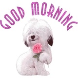 Good Morning WhatsApp Sticker #7