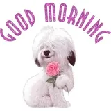 Sticker 7