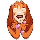 Good Boy WhatsApp Sticker #2