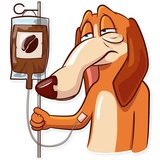 Good Boy WhatsApp Sticker #6