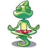 Green Go WhatsApp Sticker #26