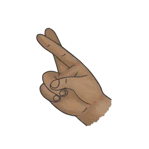 Hands Gestures