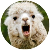 Happy Alpaca WhatsApp Sticker #14