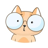 Happy Cat WhatsApp Sticker #6