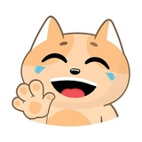 Happy Cat WhatsApp Sticker #8