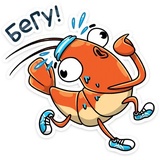 Shrimp WhatsApp Sticker #13